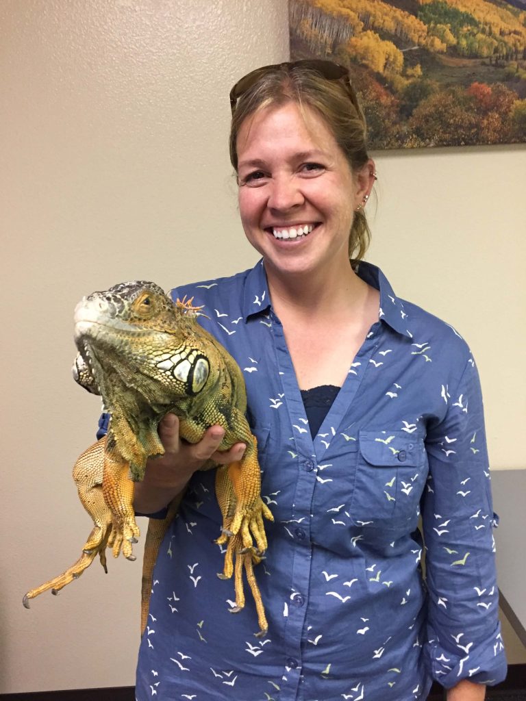 a smiling person holding a large smiling iguana